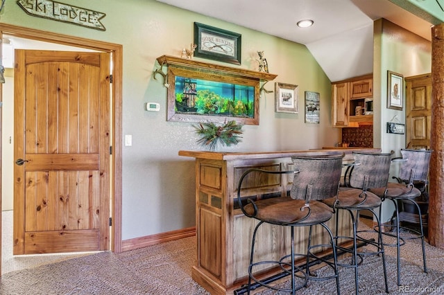 bar with carpet flooring