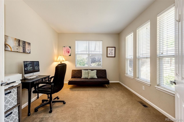 24036 E Kettle Pl, Aurora, CO 80016 - carpeted office space featuring plenty of natural light