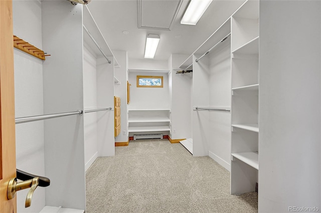 walk in closet with light carpet