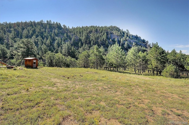 1111 Red Feather Rd, Cotopaxi, CO 81223 - view of green lawn featuring a wooded view and a view of rural / pastoral area