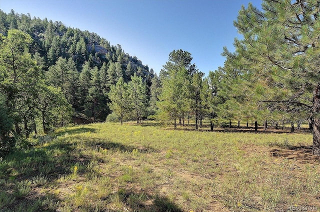 1111 Red Feather Rd, Cotopaxi, CO 81223 - view of yard featuring a forest view