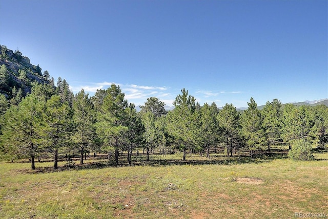 1111 Red Feather Rd, Cotopaxi, CO 81223 - view of yard with a rural view