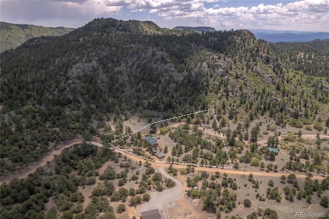 1111 Red Feather Rd, Cotopaxi, CO 81223 - bird's eye view of a forest and mountains