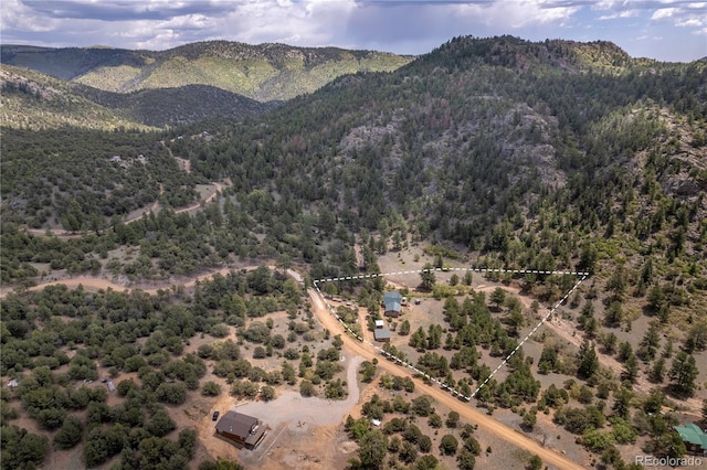 1111 Red Feather Rd, Cotopaxi, CO 81223 - mountain view featuring a heavily wooded area