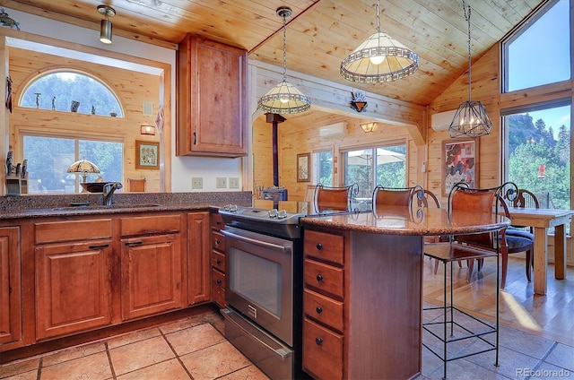 1111 Red Feather Rd, Cotopaxi, CO 81223 - kitchen featuring wood ceiling, wooden walls, a sink, stainless steel electric range oven, and healthy amount of natural light