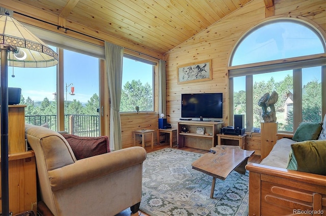 1111 Red Feather Rd, Cotopaxi, CO 81223 - living room featuring lofted ceiling, wooden walls, wood finished floors, and wood ceiling