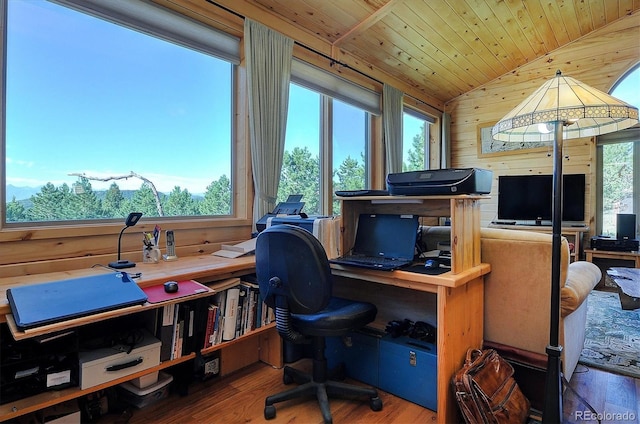 1111 Red Feather Rd, Cotopaxi, CO 81223 - home office featuring wood finished floors, lofted ceiling, wooden walls, and wood ceiling