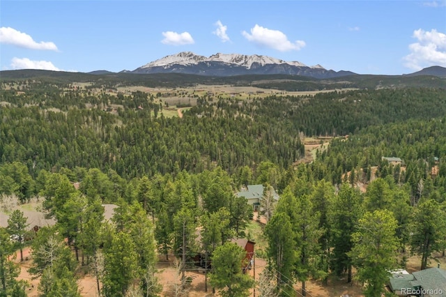 121 Aspen Dr, Woodland Park, CO 80863 - view of mountain background with a forest