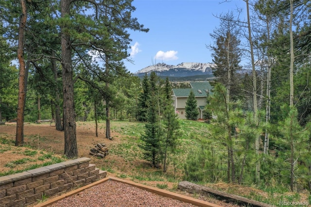 121 Aspen Dr, Woodland Park, CO 80863 - view of yard with a mountain view