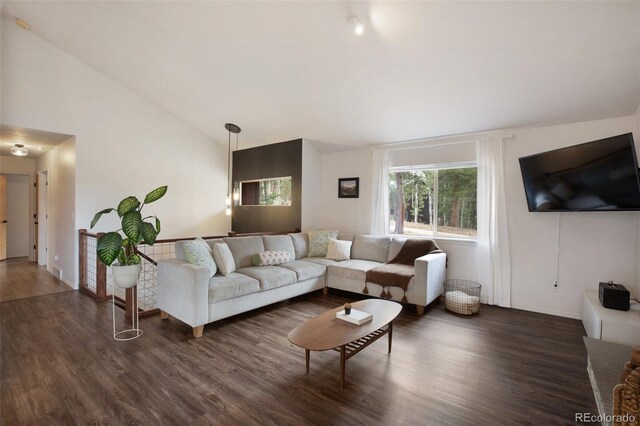 121 Aspen Dr, Woodland Park, CO 80863 - living area featuring dark wood finished floors, lofted ceiling, and baseboards