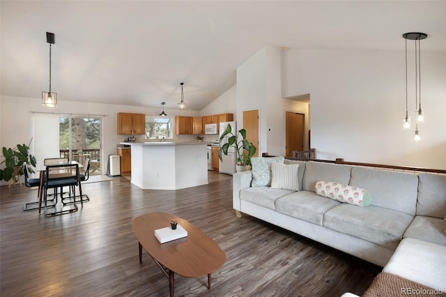 121 Aspen Dr, Woodland Park, CO 80863 - living area featuring high vaulted ceiling and dark wood-style floors