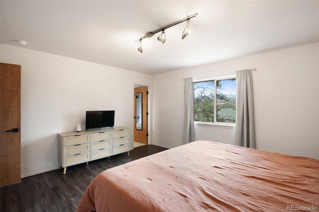 121 Aspen Dr, Woodland Park, CO 80863 - bedroom featuring dark wood-style floors, baseboards, and rail lighting
