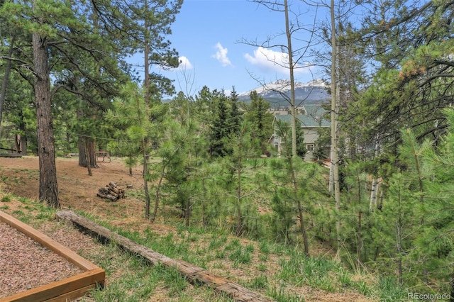 121 Aspen Dr, Woodland Park, CO 80863 - view of yard