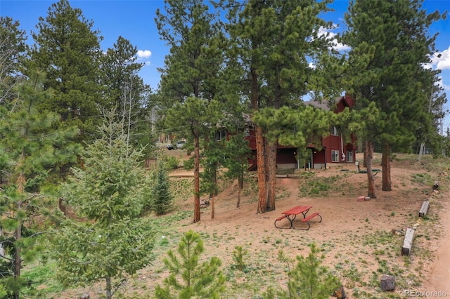 121 Aspen Dr, Woodland Park, CO 80863 - view of yard