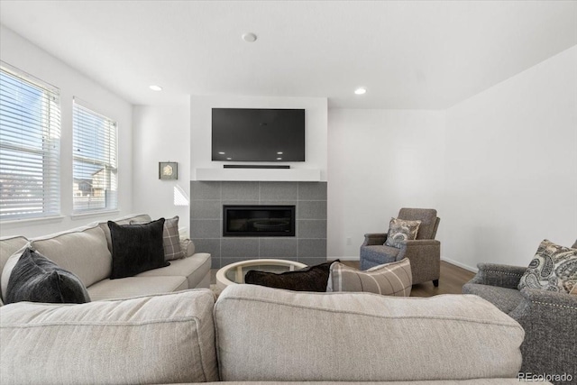 living room featuring a fireplace and light hardwood / wood-style flooring