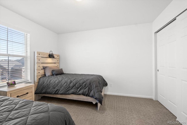 bedroom featuring carpet flooring