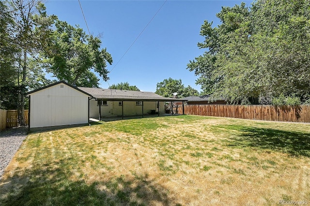 view of yard featuring a shed