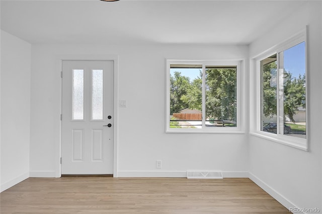 entrance foyer with light hardwood / wood-style flooring