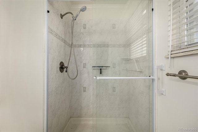 bathroom with a stall shower