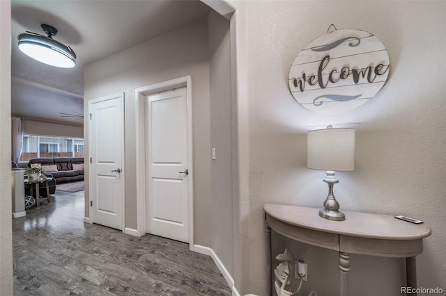 1033 S Traildust Dr, Milliken, CO 80543 - photo 6