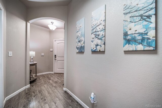 1033 S Traildust Dr, Milliken, CO 80543 - photo 8