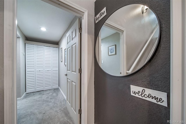 1033 S Traildust Dr, Milliken, CO 80543 - photo 32