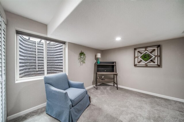 1033 S Traildust Dr, Milliken, CO 80543 - photo 41
