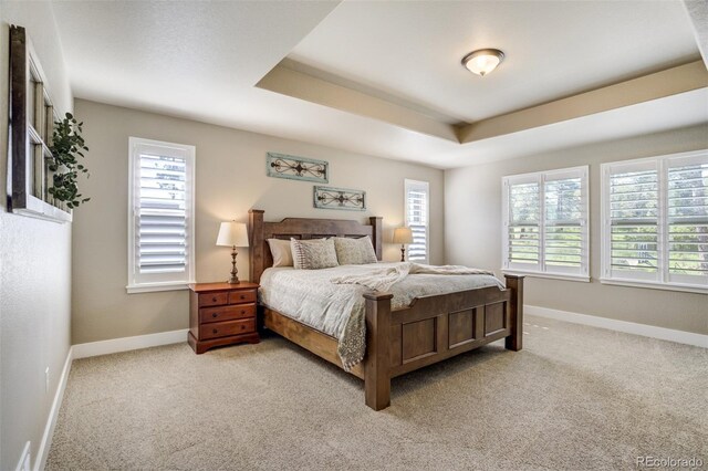 1716 Catnap Ln, Monument, CO 80132 - photo 6