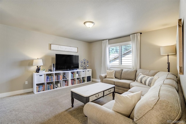 1716 Catnap Ln, Monument, CO 80132 - photo 26