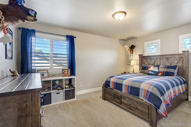 1716 Catnap Ln, Monument, CO 80132 - photo 28