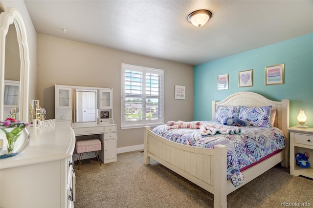 1716 Catnap Ln, Monument, CO 80132 - photo 30