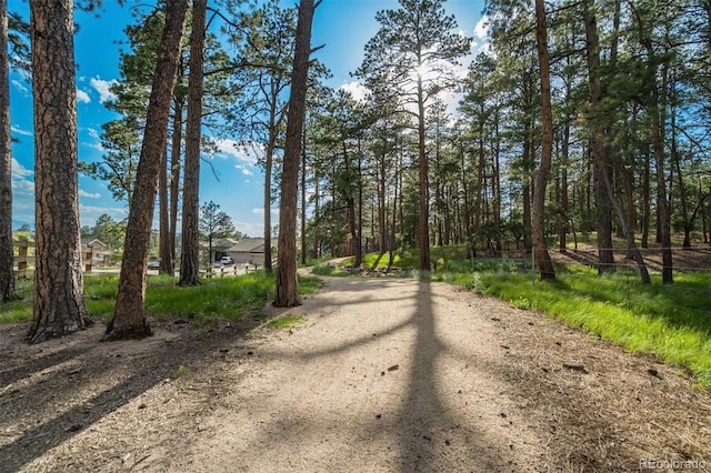 1716 Catnap Ln, Monument, CO 80132 - photo 47