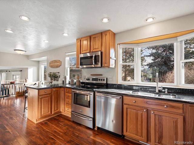 kitchen featuring a peninsula, a healthy amount of sunlight, appliances with stainless steel finishes, and a sink