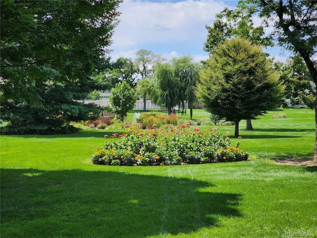 view of property's community with a yard