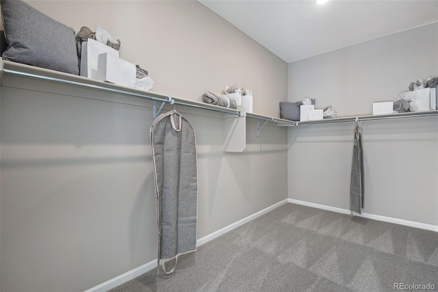 spacious closet with carpet flooring