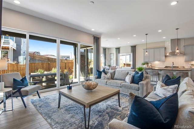 living room featuring sink and hardwood / wood-style floors