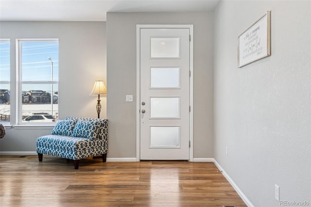 entryway featuring hardwood / wood-style floors