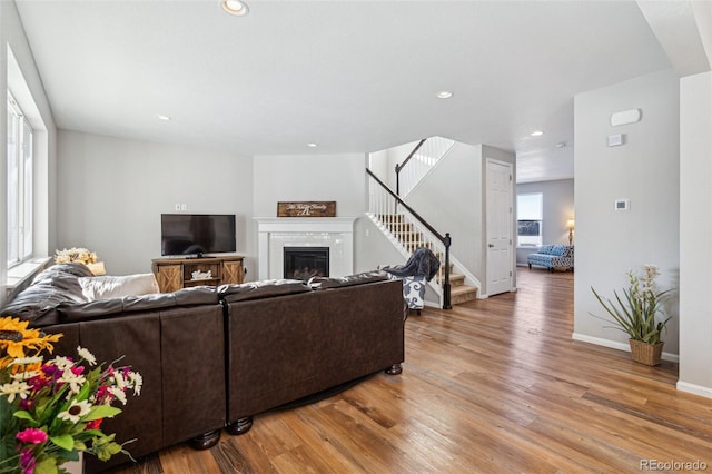 living room with wood-type flooring