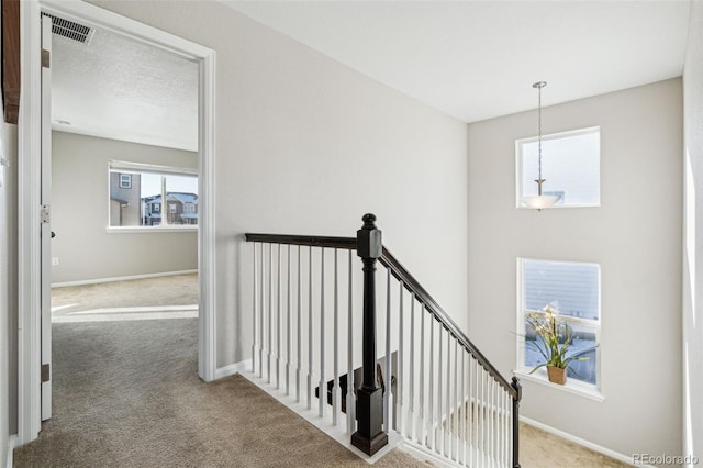 stairs with carpet floors and a textured ceiling