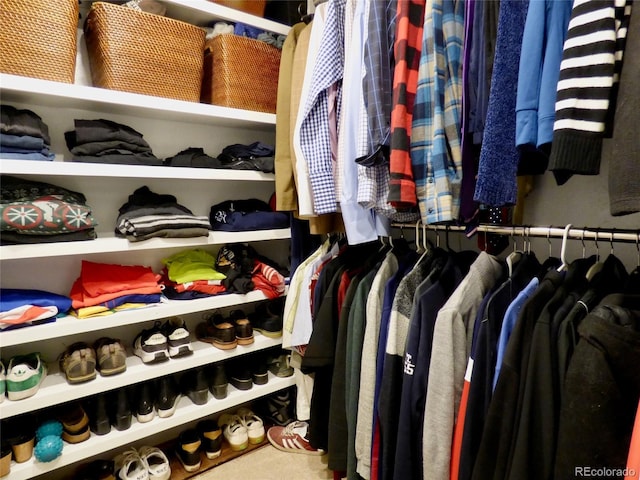 view of walk in closet