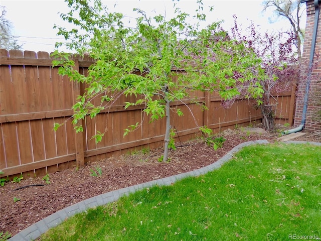 view of yard with fence private yard