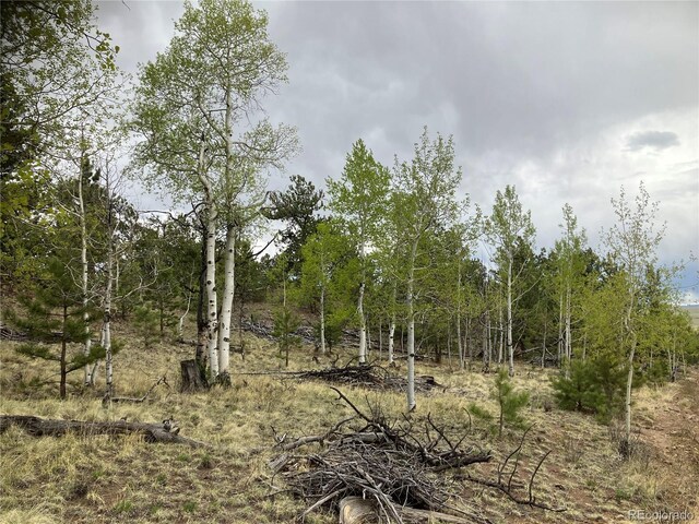 256 Bandana Rd, Hartsel, CO 80449 - photo 2