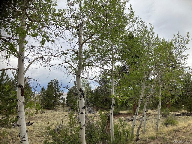 256 Bandana Rd, Hartsel, CO 80449 - photo 1