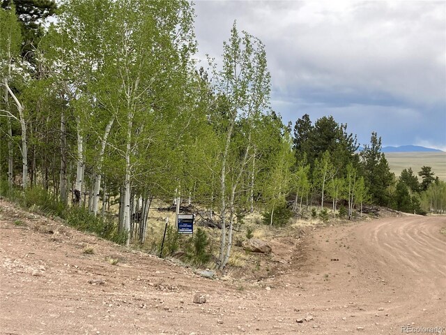 256 Bandana Rd, Hartsel, CO 80449 - photo 3
