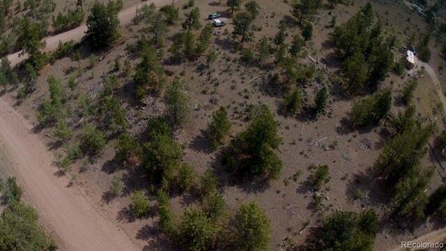 256 Bandana Rd, Hartsel, CO 80449 - photo 6