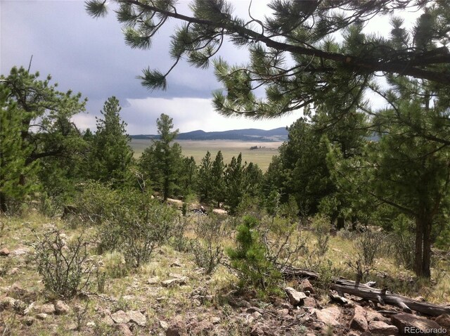 256 Bandana Rd, Hartsel, CO 80449 - photo 7