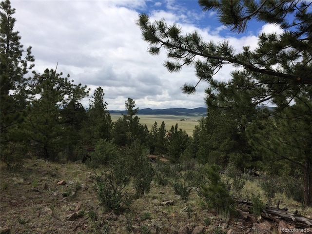 256 Bandana Rd, Hartsel, CO 80449 - photo 9