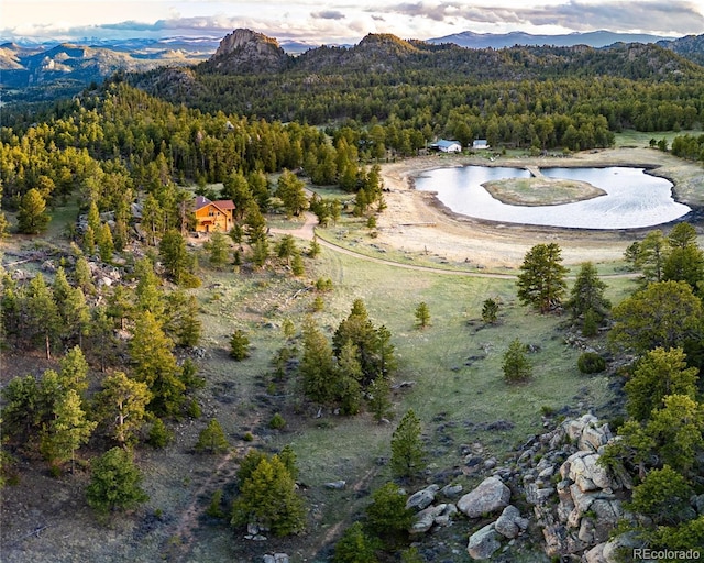 13101 N County Road 73c, Red Feather Lakes, CO 80545 - photo 1