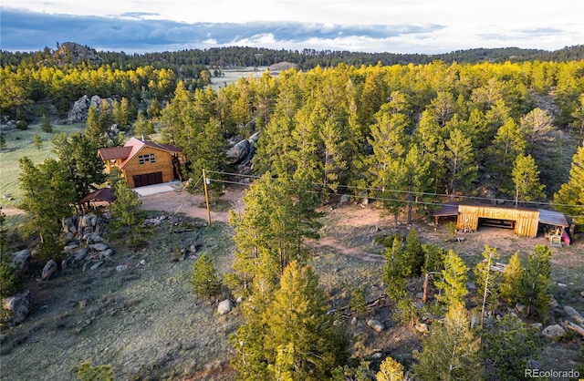 13101 N County Road 73c, Red Feather Lakes, CO 80545 - photo 23