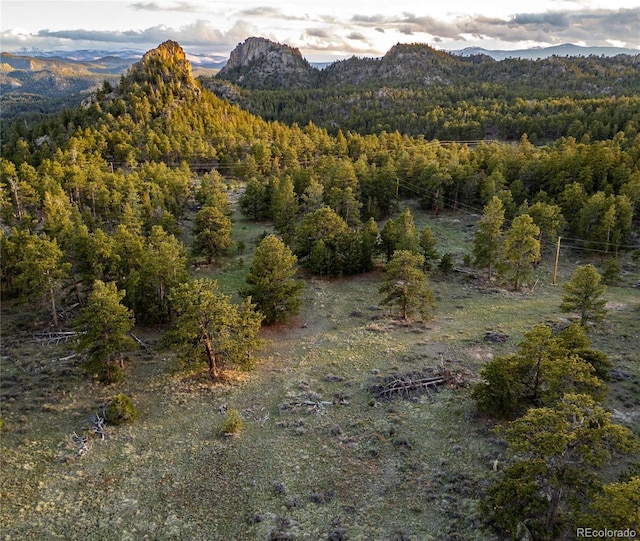 13101 N County Road 73c, Red Feather Lakes, CO 80545 - photo 28
